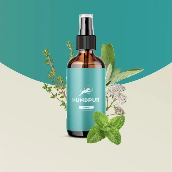 Flasche mit HundPur Zahnreinigungsspray für Hunde, mit einem türkisfarbenen Etikett, auf dem die Texte "Zähne" und "Dentalcomplex" stehen, umgeben von frischen Kräutern.