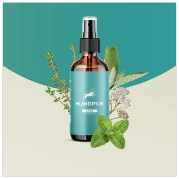 Flasche mit HundPur Zahnreinigungsspray für Hunde, mit einem türkisfarbenen Etikett, auf dem die Texte "Zähne" und "Dentalcomplex" stehen, umgeben von frischen Kräutern.