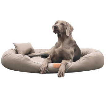 TIFFANY Couture - Orthopädisches Hundebett beige 1,45 m, 20 cm, 1,05 m