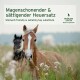 Ein hellbraunes Pferd mit einem weißen Streifen steht auf einer grasbewachsenen Fläche neben einem dunklen Pferd. Text: "Magenfreundlicher Heuersatz."
