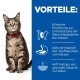 Eine getigerte Katze mit einem roten Halsband sitzt vor einem blauen Hintergrund mit Text über die Vorteile einer klinischen Diät zur Gewichtskontrolle bei Katzen.