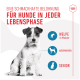 Eine schmackhafte Belohnung für Hunde in jeder Lebensphase, mit einem Hundebild und den Kategorien Welpe, Ausgewachsen, Senior.
