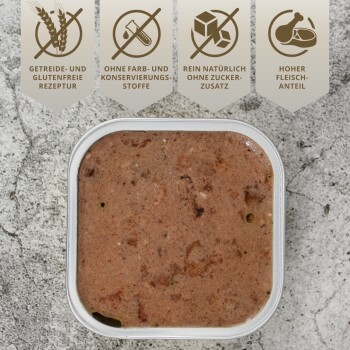 Eine schwarze Schüssel, gefüllt mit feuchtem Haustierfutter, steht auf einer grauen Oberfläche, umgeben von Hundekauartikeln und einem Seilspielzeug, mit einer kleinen Pflanze in der Nähe.