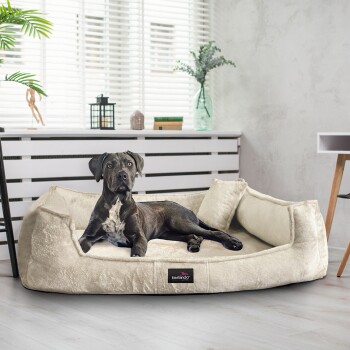 Ein bequemes beiges Hundebett mit einem schwarzen Hund, der darauf liegt, mit einem kleinen Kissen und dem sichtbaren Markenlogo "tierlando".