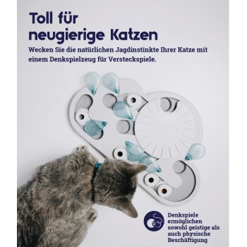 Eine graue Katze mit einem blauen Halsband spielt mit einem Puzzle-Spielzeug, das Löcher und blaue Teile hat. Text: "Toll für neugierige Katzen."