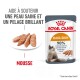 Pochette de nourriture pour chat Royal Canin Hair & Skin avec des morceaux de mousse, promouvant une peau saine et un pelage brillant ; revendique 90 % de satisfaction des propriétaires après 3 semaines.