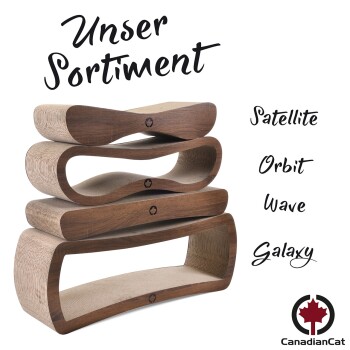 Stylisches Katzenschrattset mit vier Designs: Satellit, Orbit, Welle und Galaxie, mit einem kanadischen Flaggenlogo.