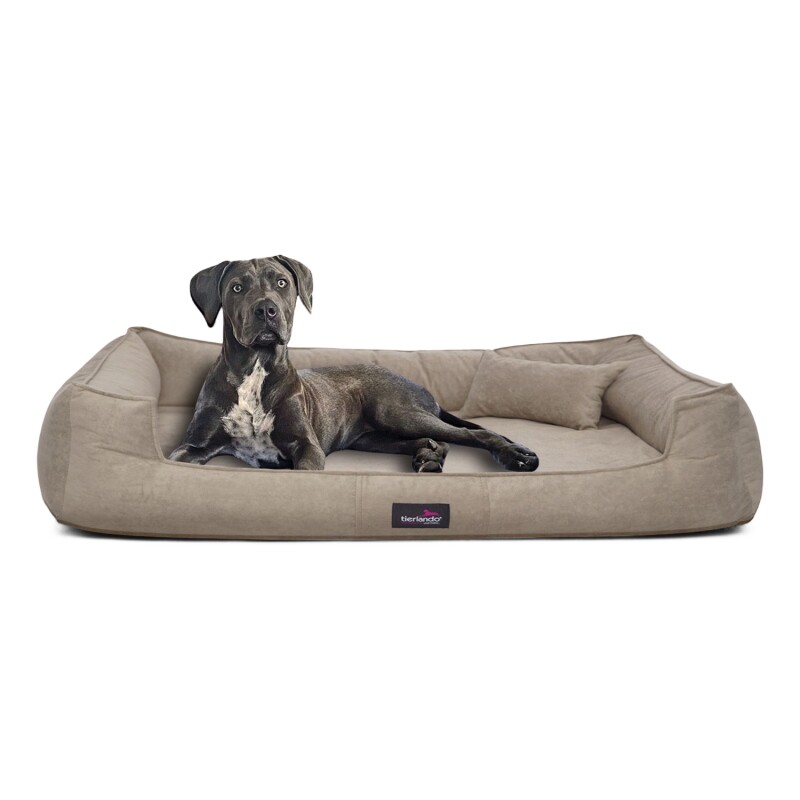 Tierlando BRUCE VELOURS - Orthopädisches Hundebett Soft beige 1,1 m, 25 cm, 90 cm