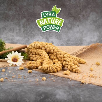 Getrocknete Hirsehalme auf Jute angeordnet, mit einer Blume und einem Zimtstock, mit dem Logo "LYRA NATURE POWER" darüber.