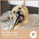 Hund kaut auf einem Dental-Kauknochen auf einem flauschigen Teppich mit Text "Natürliche Zahnpflege reinigt & stärkt die Kaumuskulatur" und Zahn-Symbol.