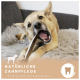 Hund kaut auf einem Dental-Kauknochen auf einem flauschigen Teppich mit Text "Natürliche Zahnpflege reinigt & stärkt die Kaumuskulatur" und Zahn-Symbol.
