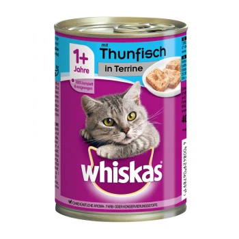 Dose Katzenfutter mit einer grauen Katze auf dem Etikett, mit dem Text 'Whiskas 1+ Jahre mit Thunfisch in Terrine' und einer Schüssel mit Futter.