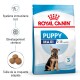 Sac de nourriture pour chiots Royal Canin Puppy Maxi pour chiots de 2 à 15 mois, mettant en avant les bienfaits pour l'immunité, le développement cérébral et la taille des croquettes.