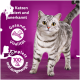 Un chat tigré gris sur une surface en bois avec un fond violet. Texte : "Von Katzen probiert", "Gesunde Vitalität", "Komplett 100%".
