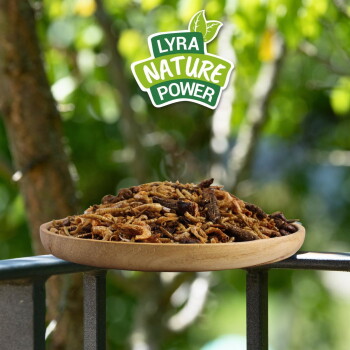 Holzplatte mit getrockneten Insekten auf einem Geländer, mit dem Logo "Lyra Nature Power" darüber und unscharfem grünem Laub im Hintergrund.