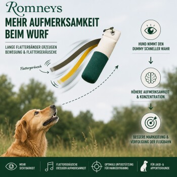 Golden Retriever läuft auf Gras mit einem grün-weißen Trainingsdummy im Maul.