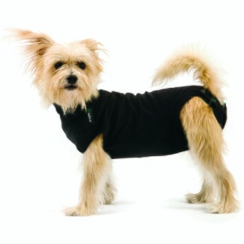 Hundebody Recovery Suit schwarz XXS
