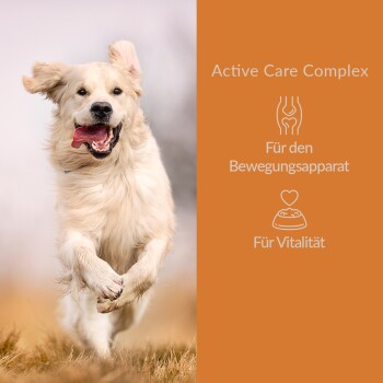 Ein laufender Hund mit verschwommenem Gesicht, neben einem orangefarbenen Panel mit "Active Care Complex" und dem Text: "Für den Bewegungsapparat" und "Für Vitalität."