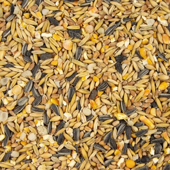 Eine Nahaufnahme einer gemischten Vogelfuttermischung mit verschiedenen Samen, darunter Sonnenblumenkerne, Hirse und Maiskörner.