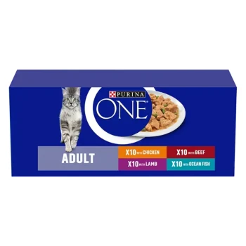 Purina ONE cat food box featuring a gray cat, labeled "ADULT," with flavors: X10 with Chicken, Beef, Lamb, and Ocean Fish.