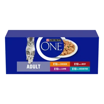 Purina ONE cat food box featuring a gray cat, labeled "ADULT," with flavors: X10 with Chicken, Beef, Lamb, and Ocean Fish.