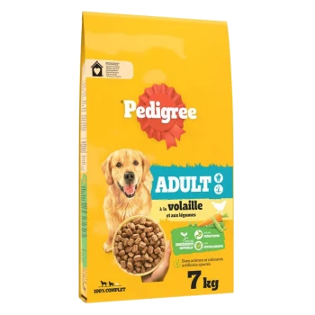 Pedigree Adult dog food, 7 kg bag, featuring chicken and vegetables, with a bowl of kibble shown on the front.