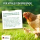 Huhn und Küken im Gras mit deutschem Text, der Geflügelfutteröl aus Deutschland für Vitalität und Wohlbefinden bewirbt.