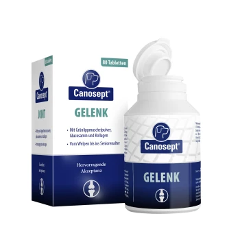 Canosept Gelenk Nahrungsergänzungsmittel für Hunde: 80-Tabletten-Flasche und -Box, mit grünlippigen Muscheln, Glucosamin und Kollagen.