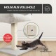 Ein verspielter grauer Kätzchen kratzt an einem stabilen Holz-Katzenbaumstamm, der mit Sisal-Seil umwickelt ist, und zeigt seine Haltbarkeit und EU-Holzqualität.