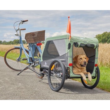 Hellblaues Fahrrad zieht grünen zweiträdrigen Haustieranhänger mit oranger Fahne; ein gelber Labrador ruht darin auf einer Landstraße