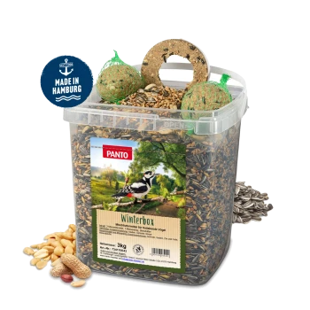 Ein klarer Behälter mit Vogelfutter, zwei grünen Fettbällen und einer Scheibe oben. Das Etikett lautet "PANTO Winterbox," 3 kg Mischfutter für Wildvögel.
