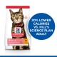 Cat food bag with a tabby, labeled "Hill's Science Plan Light Adult 1-6," featuring a blue circle stating "20% lower calories."