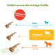 Größentabelle für Hundesnacks (Deutsch): Empfohlen 1 Snack/Tag; Klein 7–12 kg; Mittelgroß 12–18 kg; Groß 18–27 kg