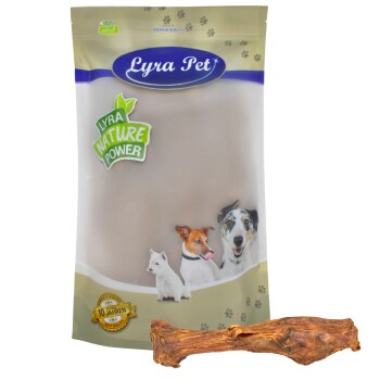 Lyra Pet Hundeleckerli-Verpackung mit dem Text 'Lyra Nature Power' und Bildern von drei Hunden, mit einem Kauknochen davor.