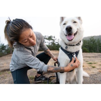 Eine Person kniet neben einem glücklichen weißen Hund, der ein Geschirr trägt, und passt die Leine in einer Außenumgebung mit Bäumen im Hintergrund an.