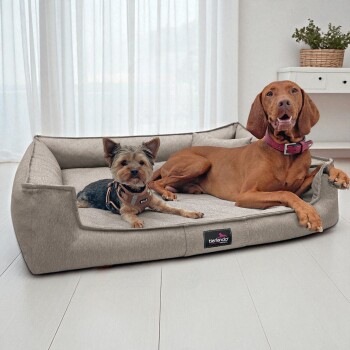 Zwei Hunde, ein kleiner Yorkshire Terrier und ein großer brauner Hund, liegen auf einem grauen Tierlando-Haustierbett in einem hellen Raum.