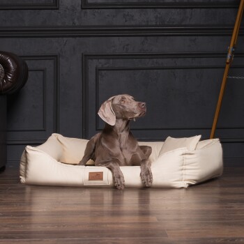 Grauer Weimaraner Hund liegt in einem beigen Haustierbett mit „tierlando“-Etikett auf einem Holzboden vor einer dunklen Wand.