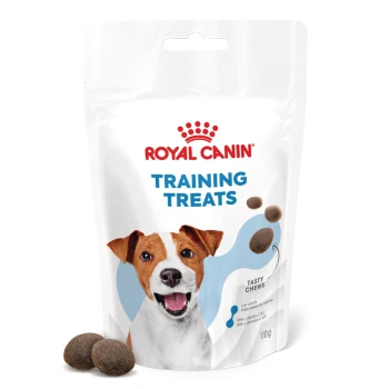 Training Treats Royal Canin Training Treats package, featuring tasty chews for dogs, 110g. Includes low calorie and DHA benefits.