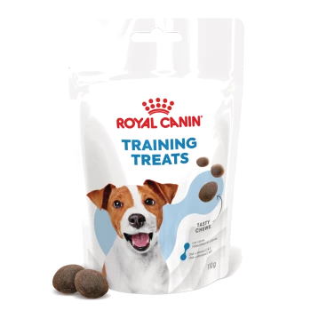 Emballage de friandises Royal Canin pour l'entraînement, contenant des croquettes savoureuses pour chiens, 110 g. Comprend des avantages faibles en calories et en DHA.