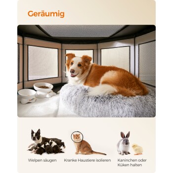 Ein gemütlicher Hund auf einem flauschigen Bett in einem geräumigen Gehege, mit Fressnäpfen in der Nähe. Text lautet "Geräumig" und zeigt Bilder zur Tierpflege.