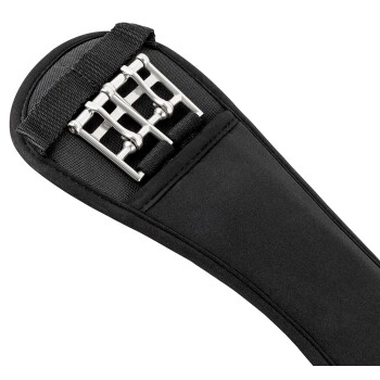 Nahaufnahme eines schwarzen Haustierpflegewerkzeugs mit einem Metallclip-Mechanismus, entworfen für einfache Handhabung und sicheren Griff.