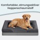 Goldener Labrador liegt auf einem grauen Hundebett mit Rand; darüberstehender Text: „Komfortabler, atmungsaktiver Noppenschaumstoff“.
