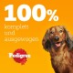Eine Nahaufnahme eines Hundes mit verschwommenem Gesicht vor einem leuchtend orangefarbenen Hintergrund, mit dem Text "100% komplett und ausgewogen" und dem Pedigree-Logo.