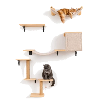 Wandmontierter Katzen-Spielplatz mit einer roten Katze in der oberen Hängematte und einer grauen Katze, die sich auf der unteren Plattform mit Spielzeug putzt