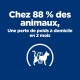 Fond bleu avec texte blanc : "Chez 88 % des animaux, Une perte de poids à domicile en 2 mois," plus une icône de chat avec un mètre ruban.