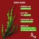 Kelp-Algen mit Text, der Vorteile hervorhebt: fördert die Darmflora, unterstützt die Gelenke, stimuliert das Immunsystem, reich an Mineralien und Spurenelementen.