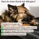 Hund mit Allergien kaut auf einem Kauknochen. Text: "Ideal für Hunde mit niedrigem Proteinhaushalt oder Allergien gegen tierisches Protein."
