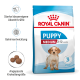 Royal Canin Puppy Medium Hundefutterbeutel, geeignet für Welpen im Alter von 2-12 Monaten, mit Symbolen für Immununterstützung, Gehirnentwicklung und Kibble-Größe.