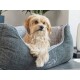 Ein flauschiger Hund ruht sich bequem in einem stilvollen grauen Haustierbett mit einem gesteppten Innenraum aus, das ein gemütliches und modernes Design zeigt.