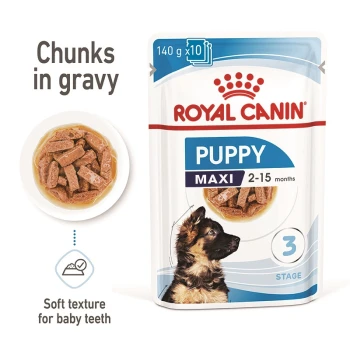 Royal Canin Puppy food packaging featuring chunks in gravy, suitable for puppies aged 2-15 months, with a soft texture for baby teeth.